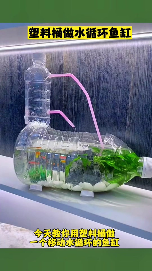 一个瓶子做循环水养鱼