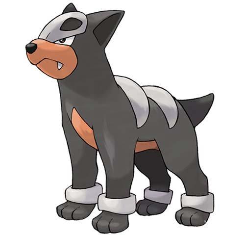 口袋妖怪复刻