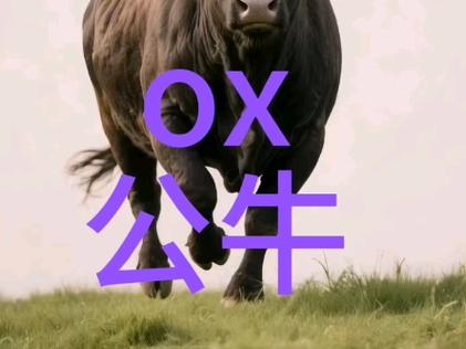 公牛英语ox发音图标