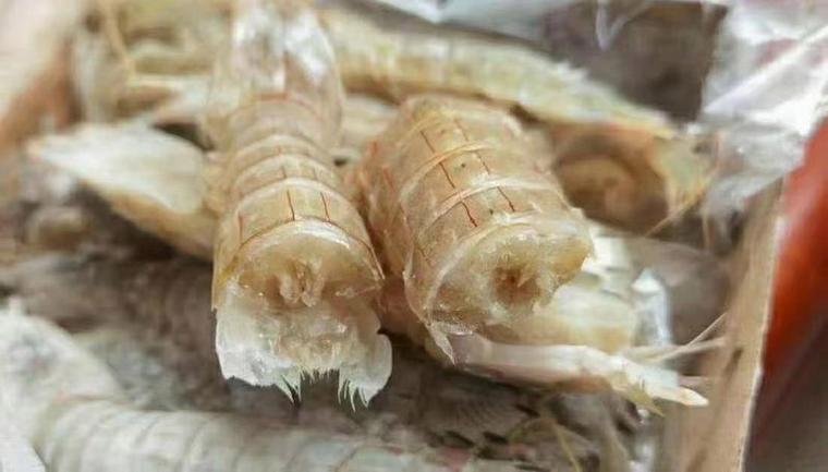 皮皮虾赚钱