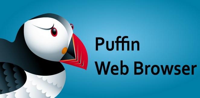 puffin浏览器海外版