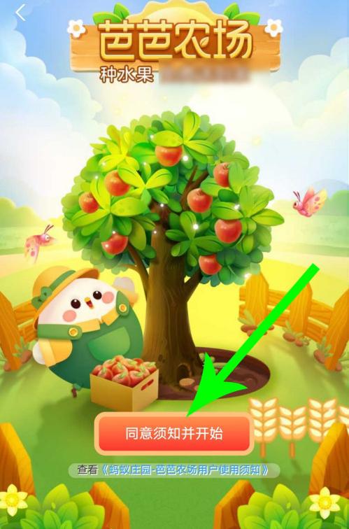 今日芭芭农场答案图标