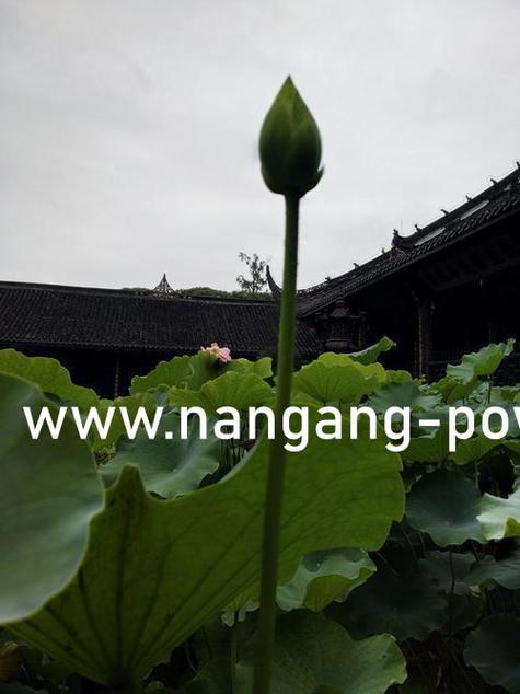 百度口袋影院