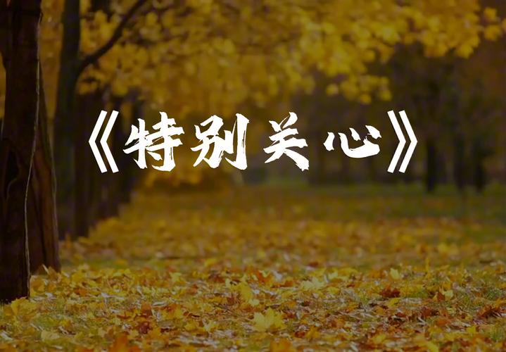 QQ特别关心铃声甘露mp3下载