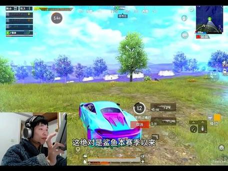 和平精英安然解说