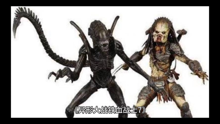 《铁血战士7》