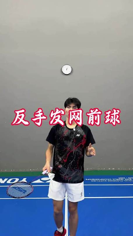 羽毛球发网前球