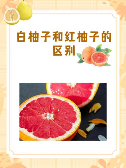 红柚子和白柚子有什么区别