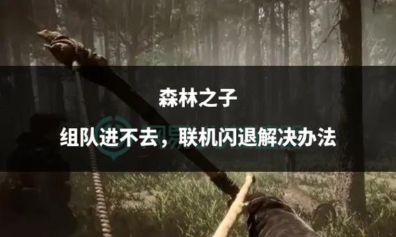 森林联机队友每次进来都没装备图标