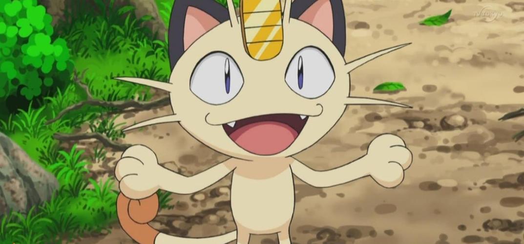 火箭队最强宝可梦