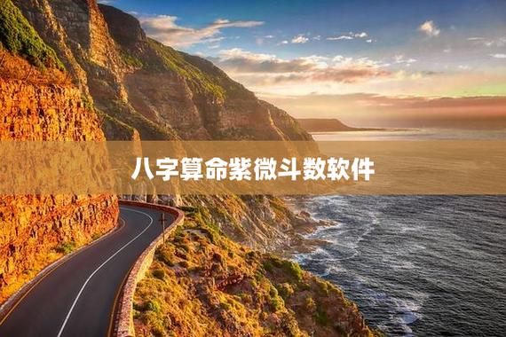 紫微斗数–紫薇斗数八字算命软件