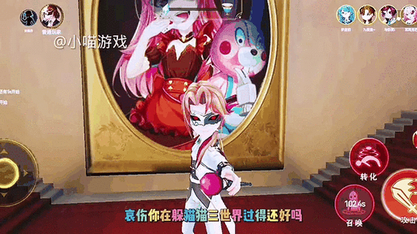 猫猫女王日记