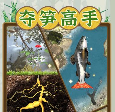 夺笋高手下载
