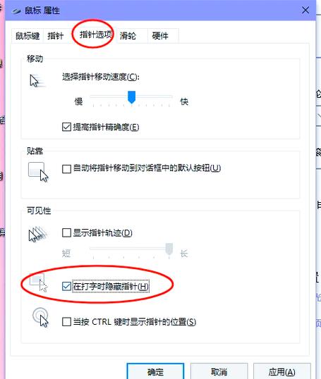 word打字停一会光标就没