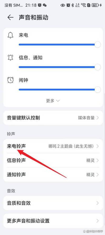荣耀9x来电铃声不响