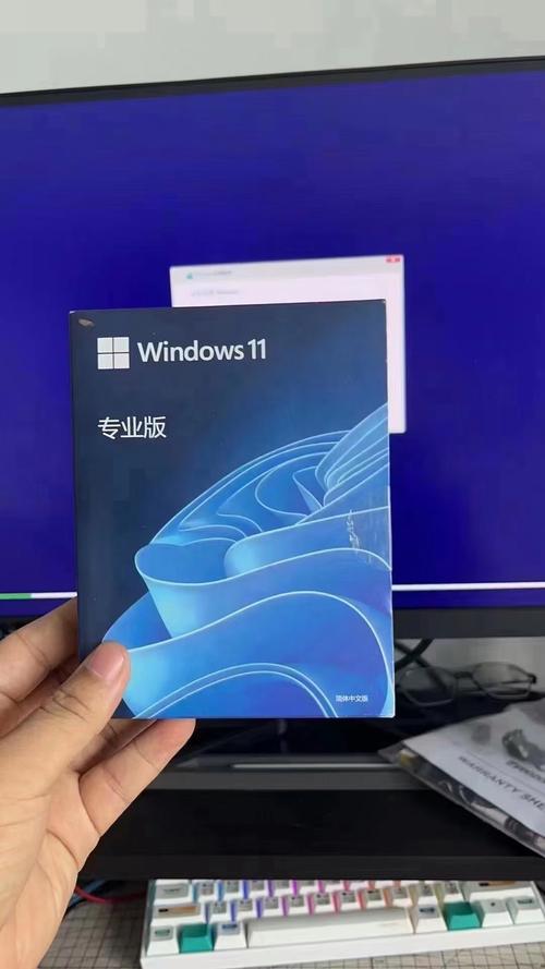 系统纯净版和专业版哪个好
