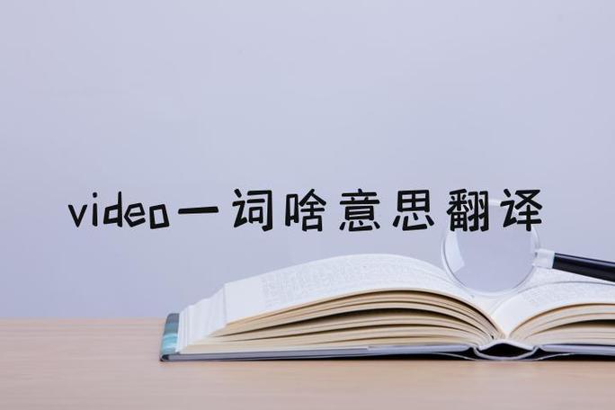 vidy什么意思