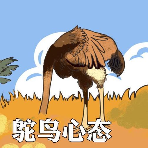 鸵鸟发朋友圈的句子