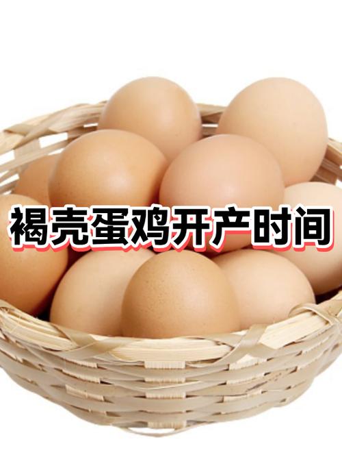 产蛋鸡灯开一夜有什么影响