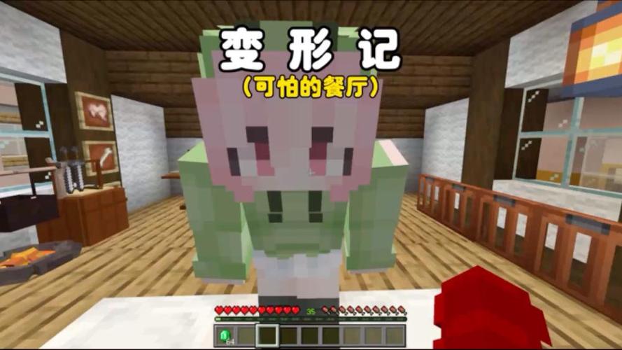 我的世界:变性记