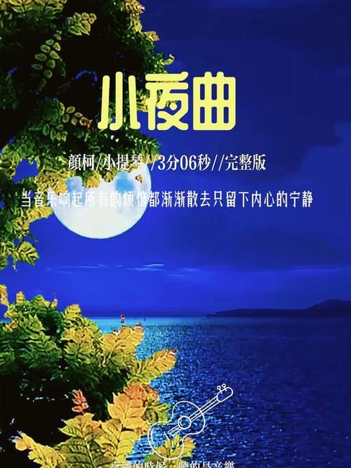 抚琴小夜曲