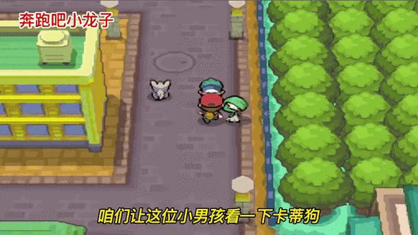 口袋妖怪心金龙鳞代码