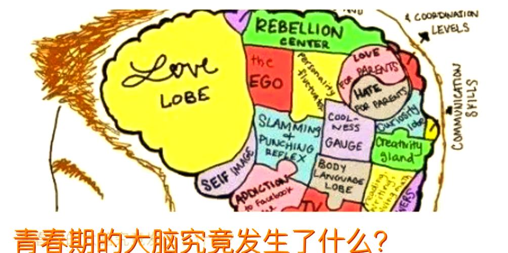 疯狂大脑
