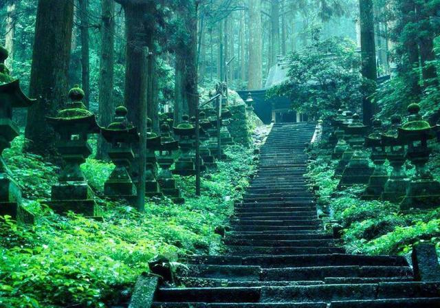 《雨后的神社》免费观看动漫