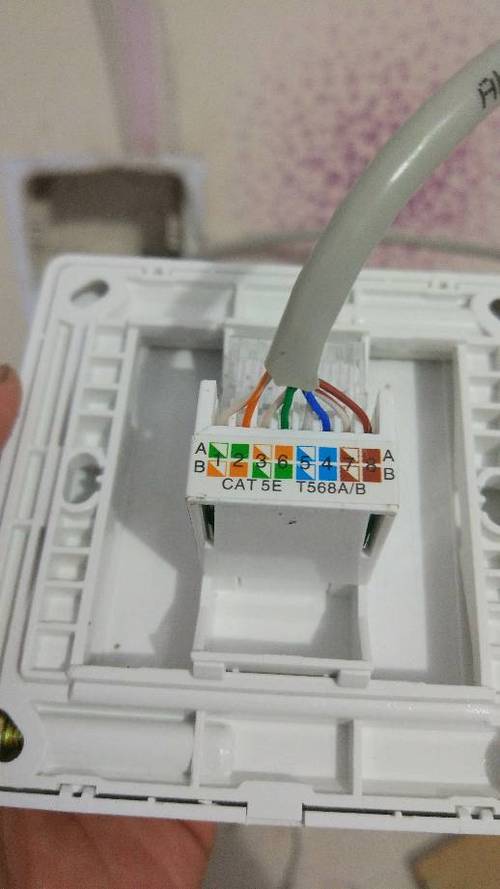 网络插口面板怎么接线