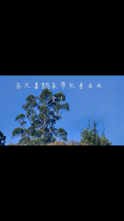天堂引路人的优势图标