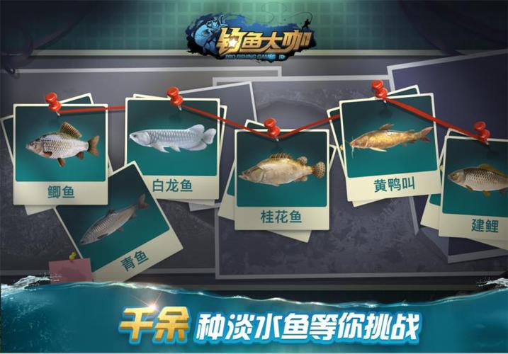 钓鱼大咖有几个版本