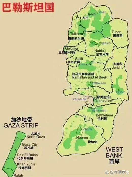 巴勒斯坦最新版图图标