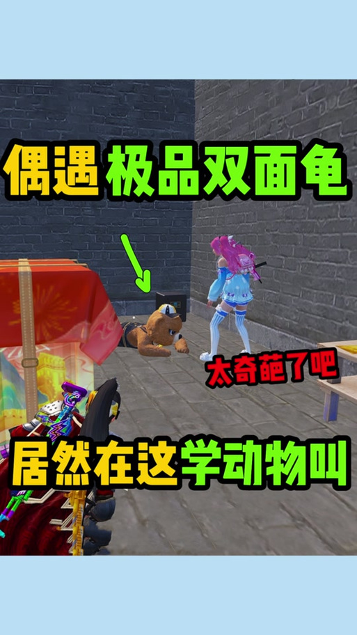 和平精英极品双面龟什么意思图标