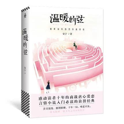 温暖的弦小说