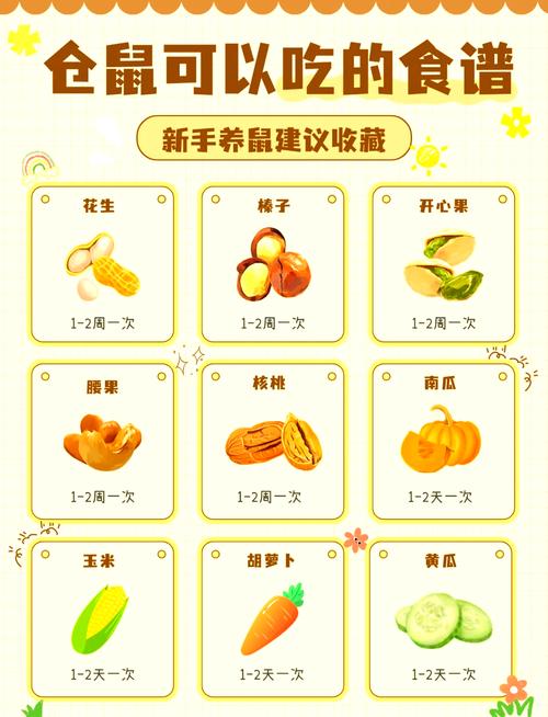 派派宠物食物等级表新版本