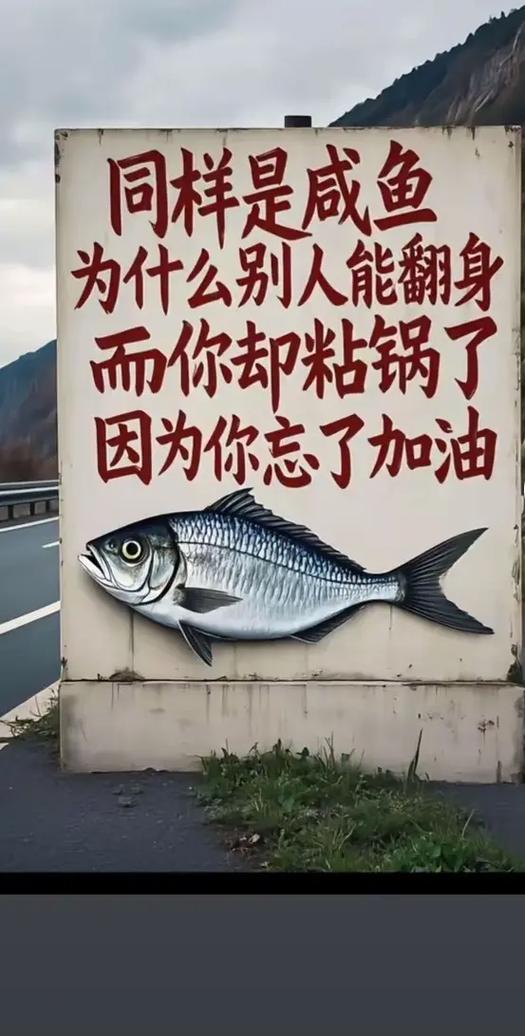 咸鱼翻身还是咸鱼吗