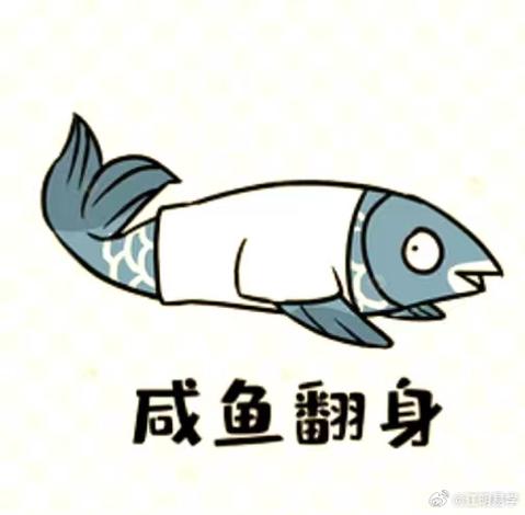 咸鱼翻身还是咸鱼吗
