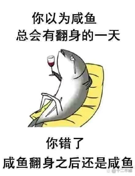 咸鱼翻身还是咸鱼吗