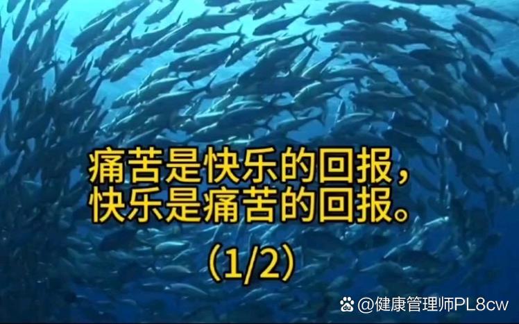 分享快乐分享痛苦图标