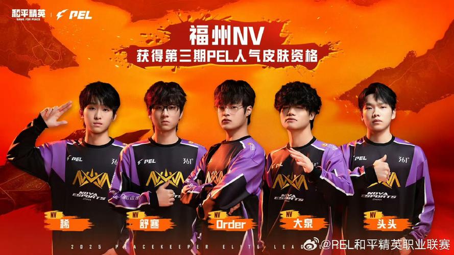 多少战队币换战队皮肤