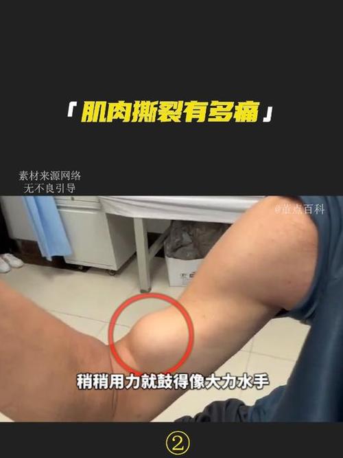 健身的本质是撕裂肌肉吗