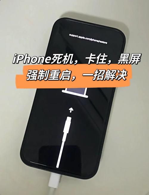 苹果6黑屏无法强制重启