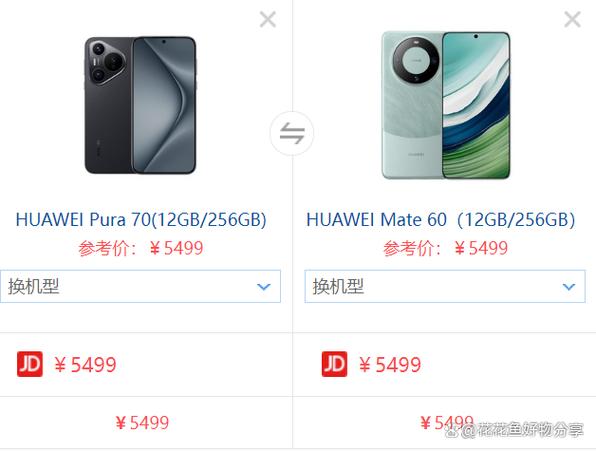 mate60寿命一般几年