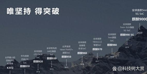 mate60寿命一般几年