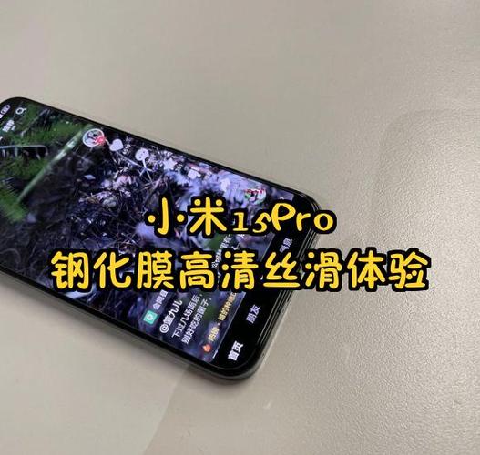小米旗舰店贴膜多少钱