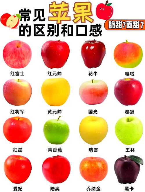 苹果s2和s3区别图标