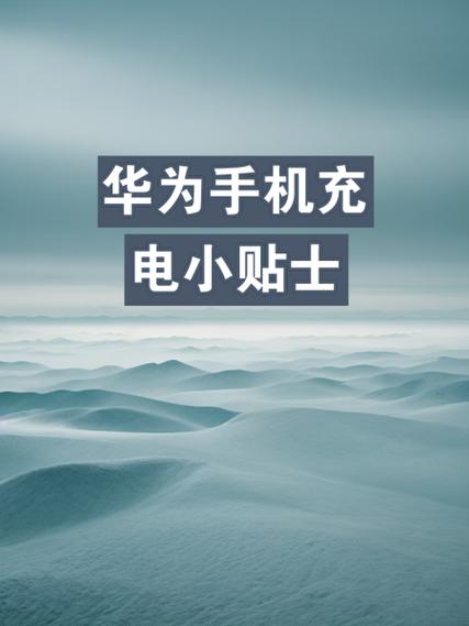 华为手机充电时间查询图标