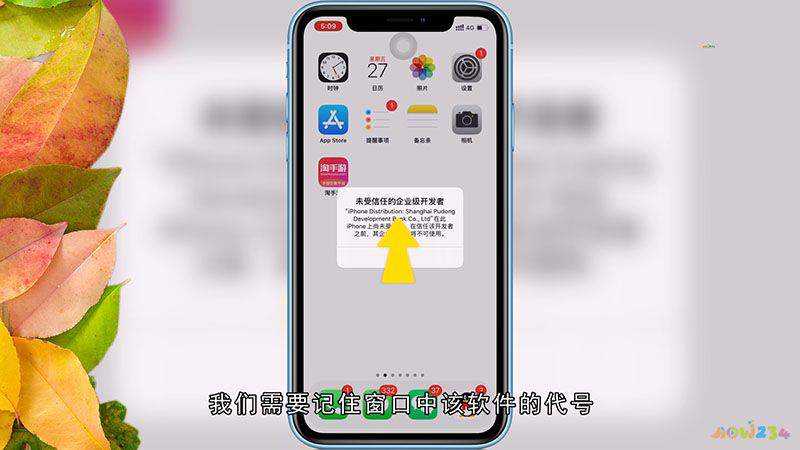 iphone怎么设置受信任图标