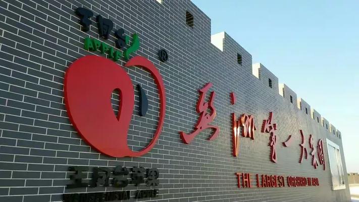 前所果树农场王凤台图标