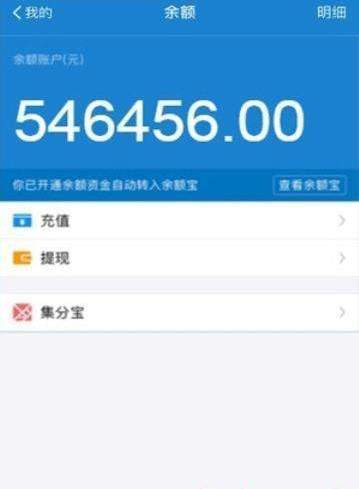 支付宝黄v是支付了多少钱